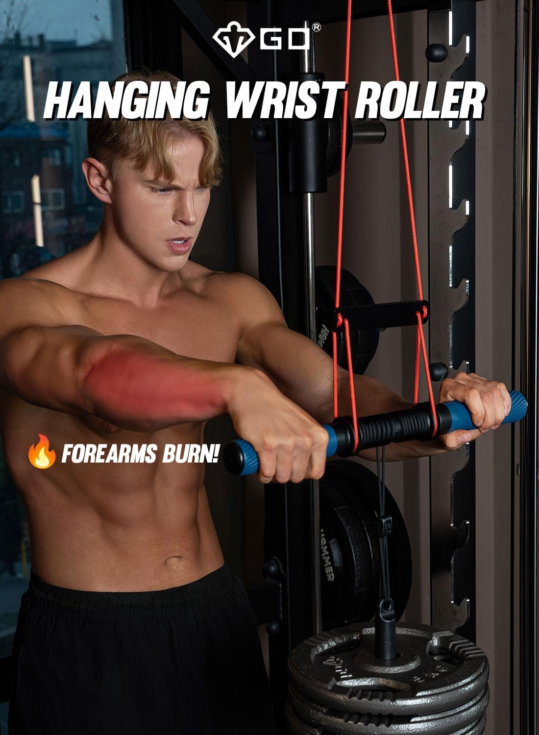 Wrist Roller Forearm Blaster