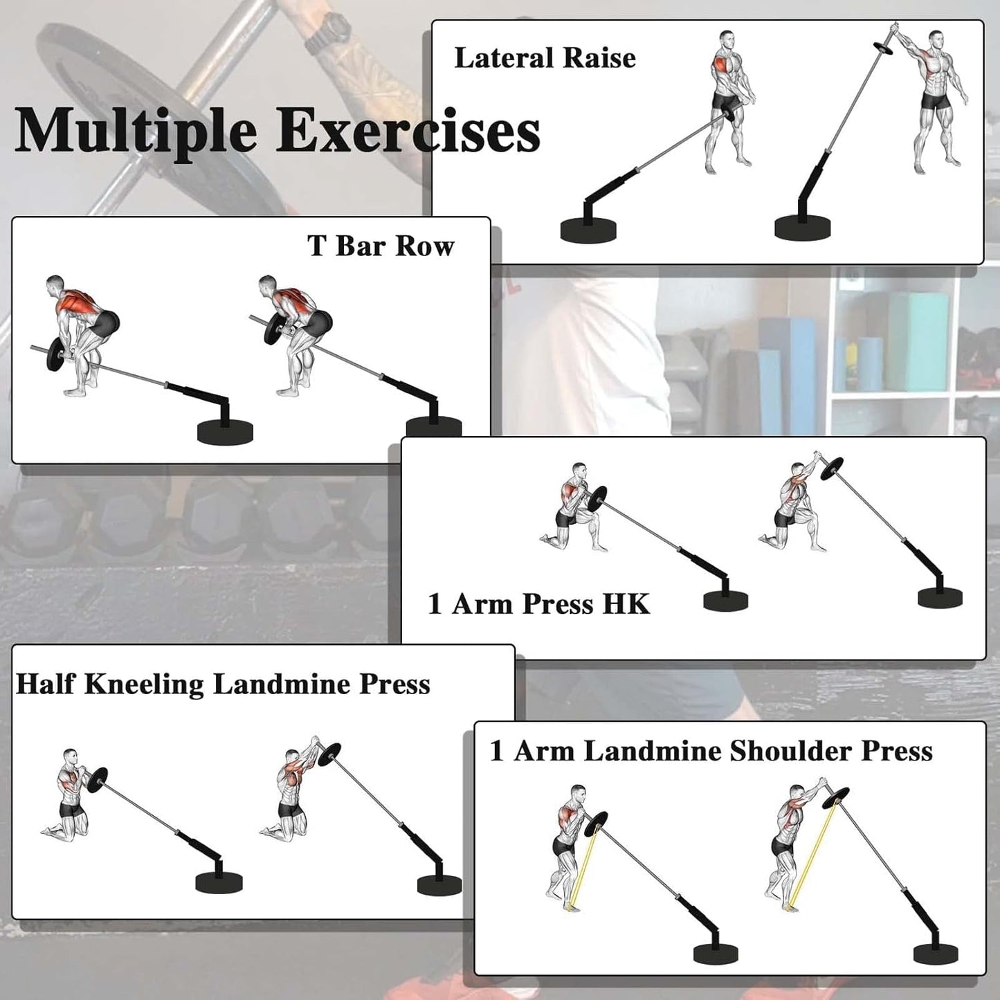 T Bar Row Landmine Attachment