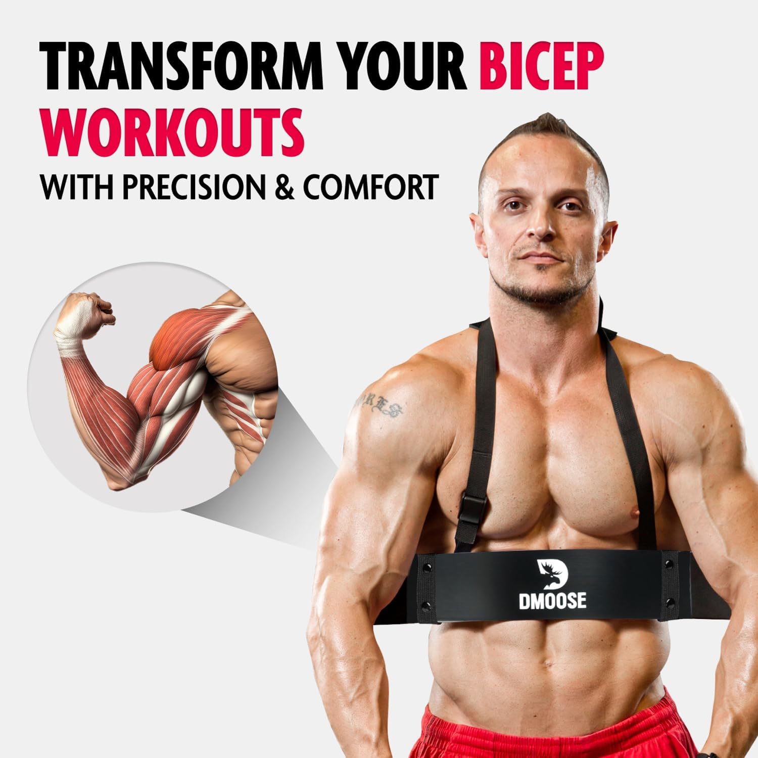 Arm Blaster for Biceps Triceps Bodybuilding