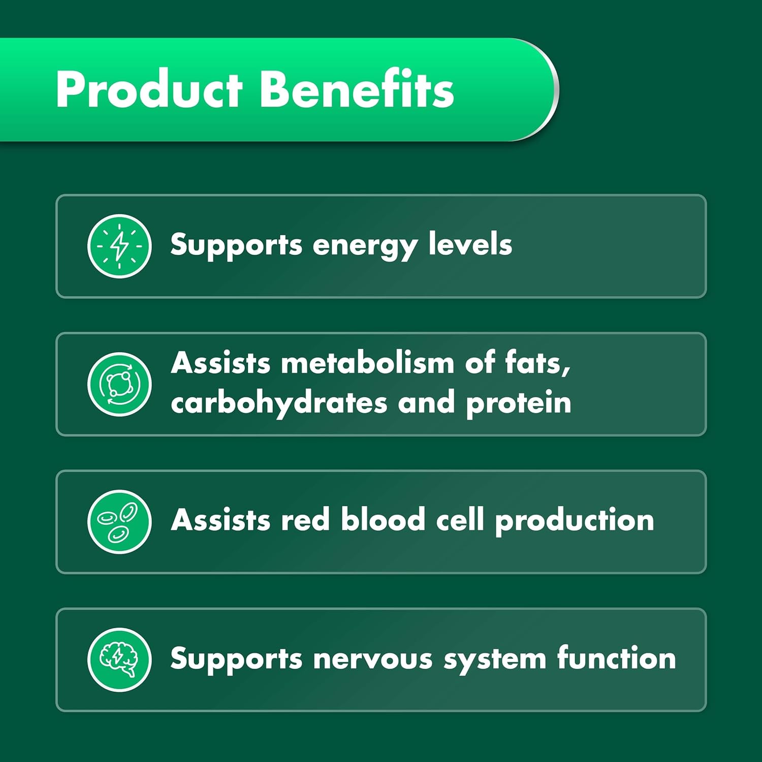 Vitamin B Supports Energy Levels