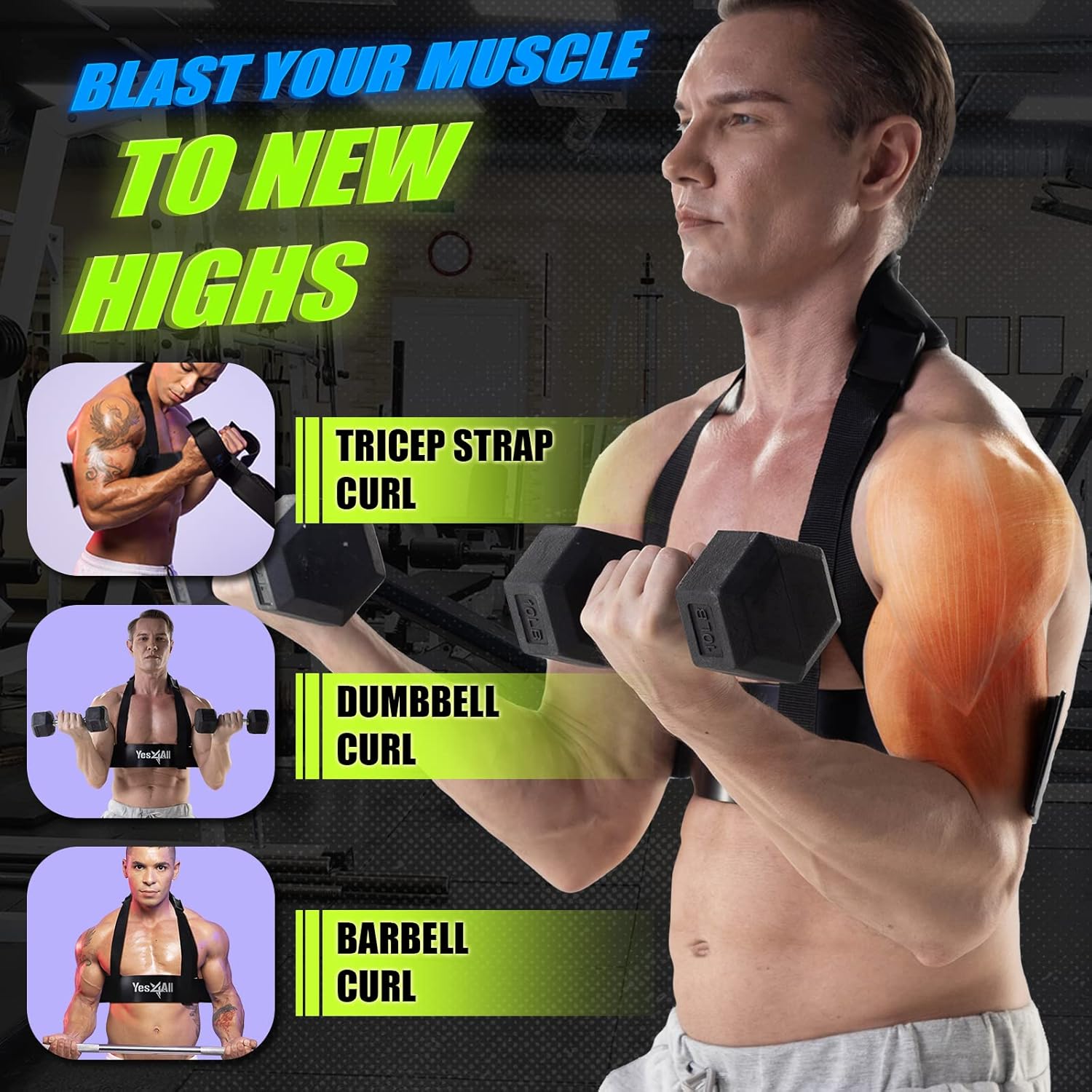 Arm Blaster for Biceps & Triceps 