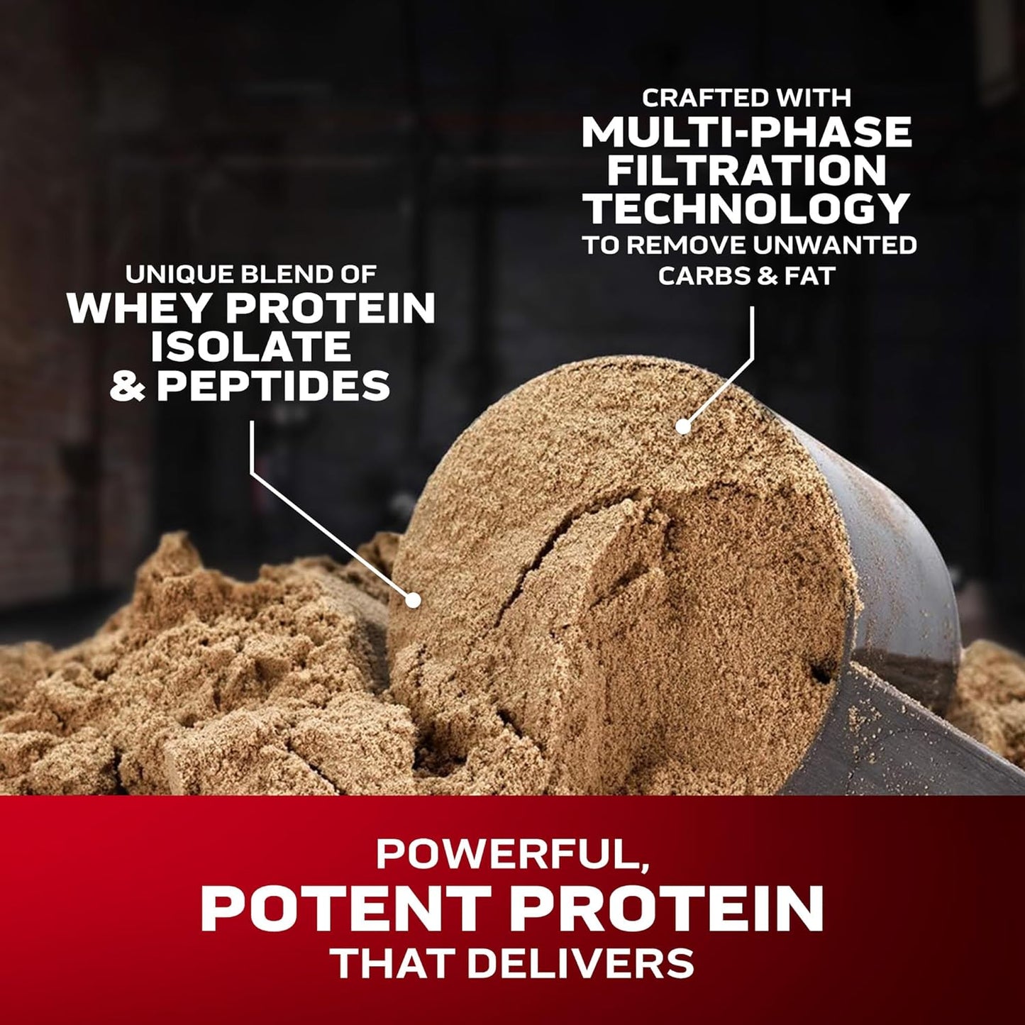 Whey Protein Powder